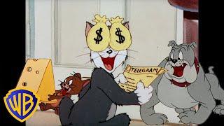 Tom und Jerry auf Deutsch 
