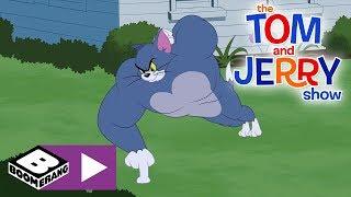 The Tom and Jerry Show | Tom The Gym Cat | Boomerang UK 